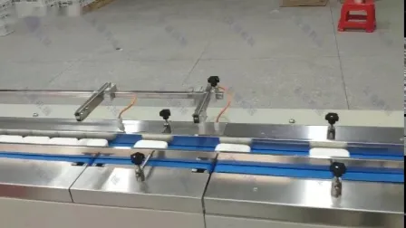 Fully Automatic Horizontal Wrapping Flow Pack Packing Machine for Lolly Popsicle